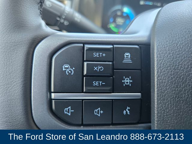 2025 Ford F-150 Lightning photo 21