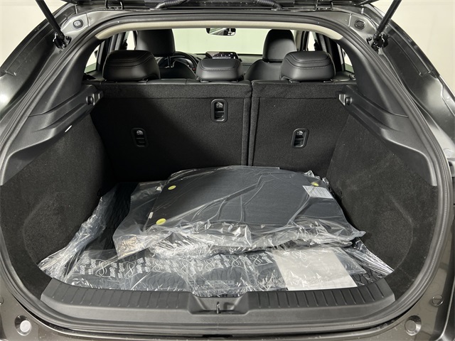 2025 Mazda CX-30 2.5 Select Sport photo 17