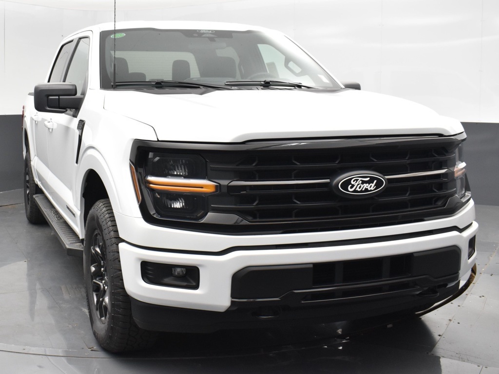 2025 Ford F-150 XLT's photo