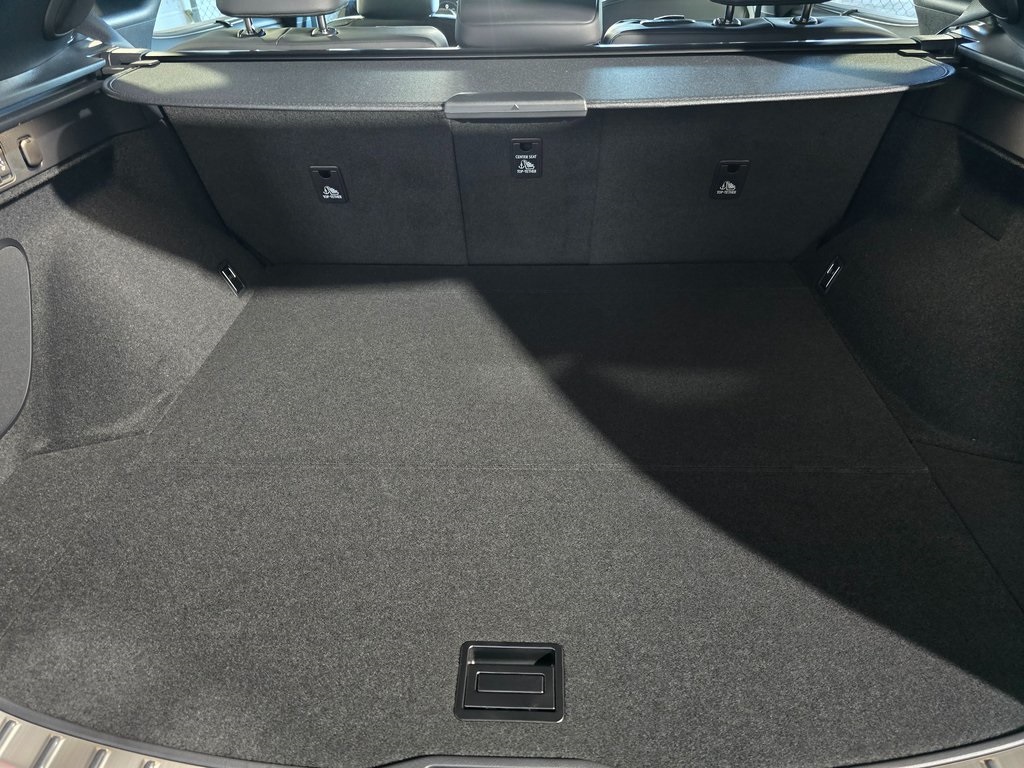 2025 Lexus RX 450h+ Luxury photo 25