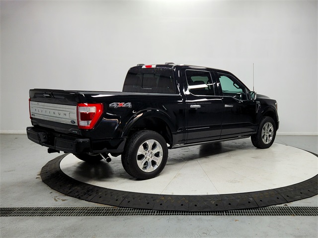 2023 Ford F-150 Platinum photo 7