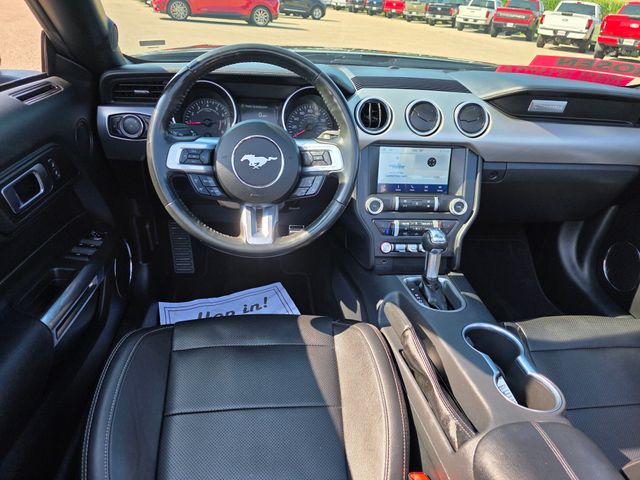 2023 Ford Mustang EcoBoost Premium photo 36