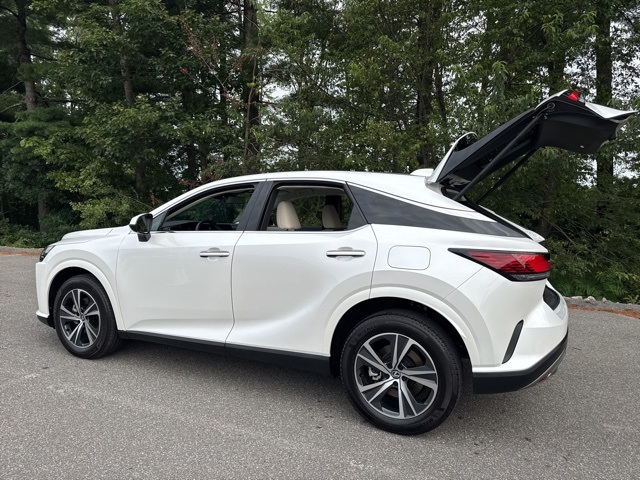 2024 Lexus RX 350 photo 9