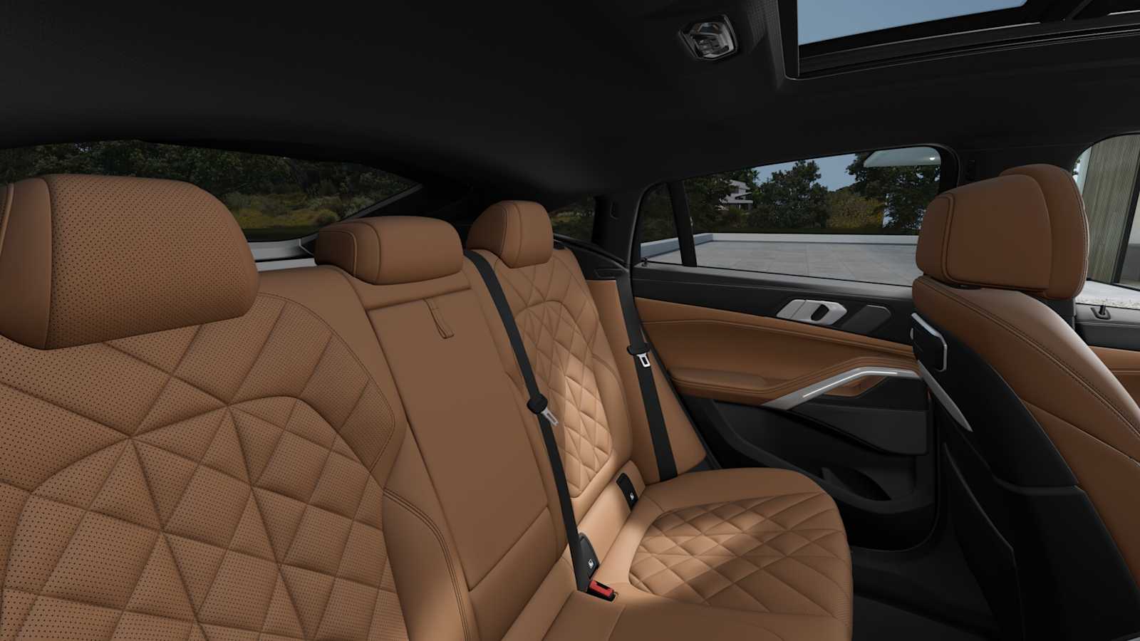 2026 Bmw X6 photo 9