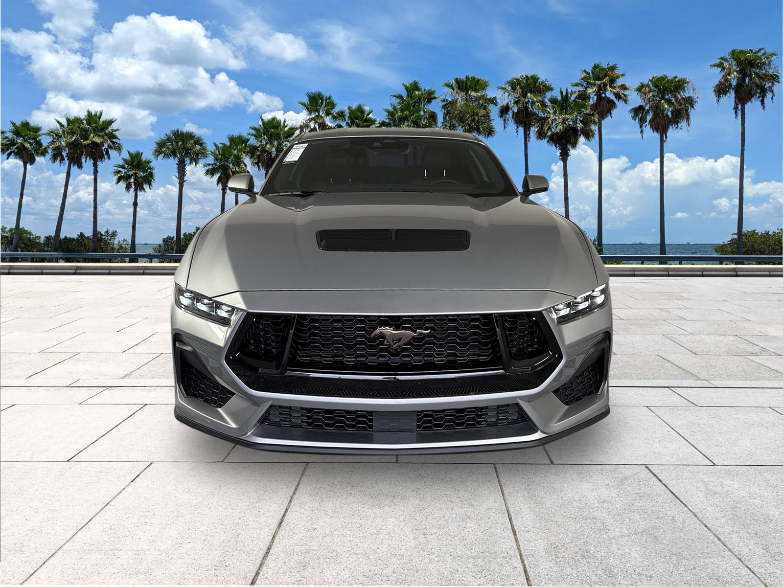 2025 Ford Mustang GT Premium photo 3