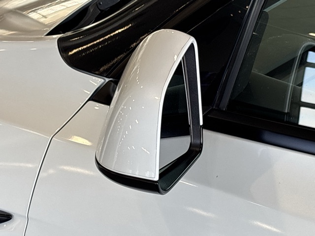2020 Tesla Model Y Performance photo 19