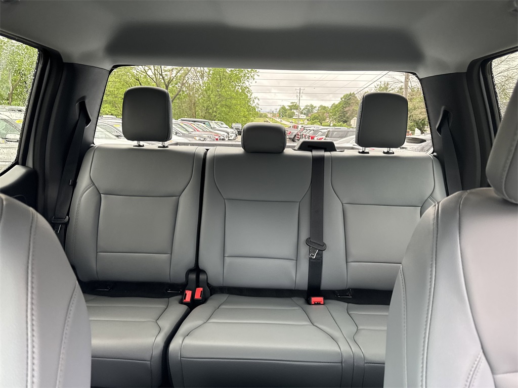 2025 Ford F-150 Lightning photo 23