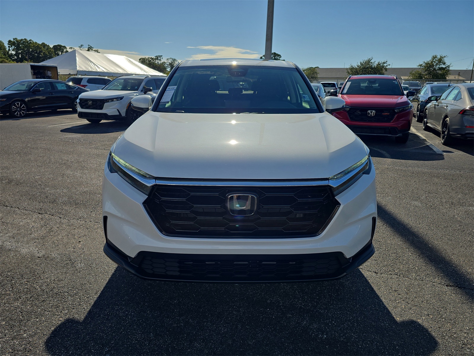 2026 Honda CR-V EX photo 6