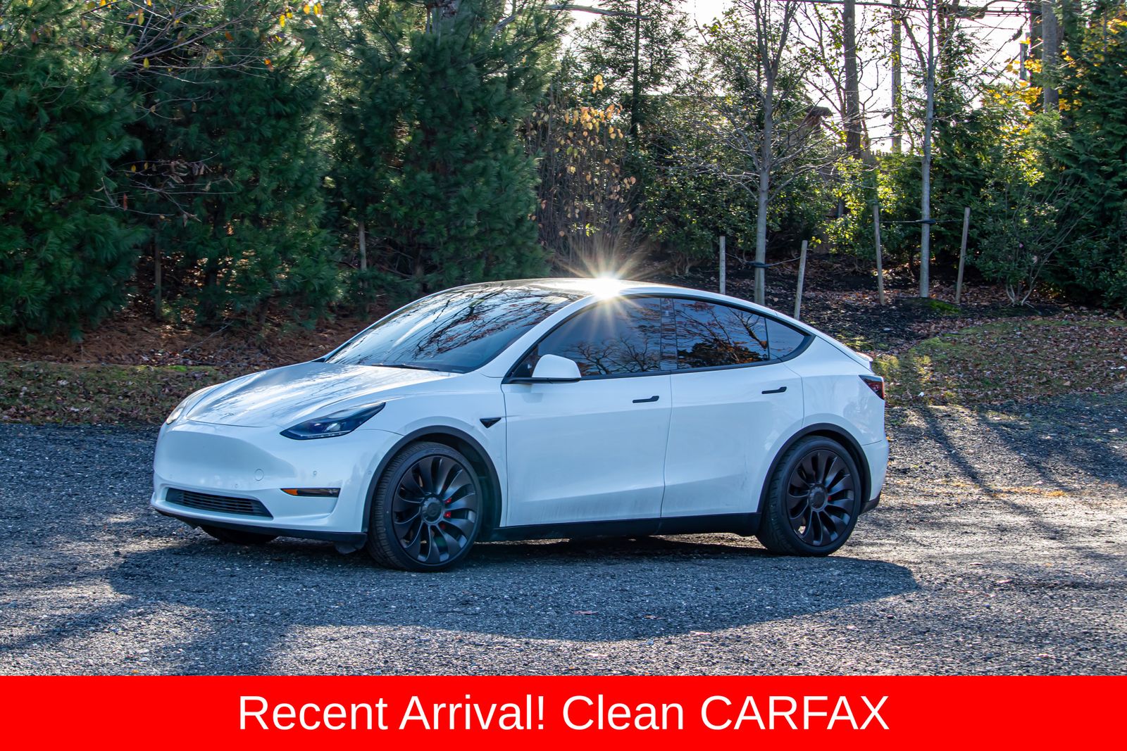 2021 Tesla Model Y Performance photo 3