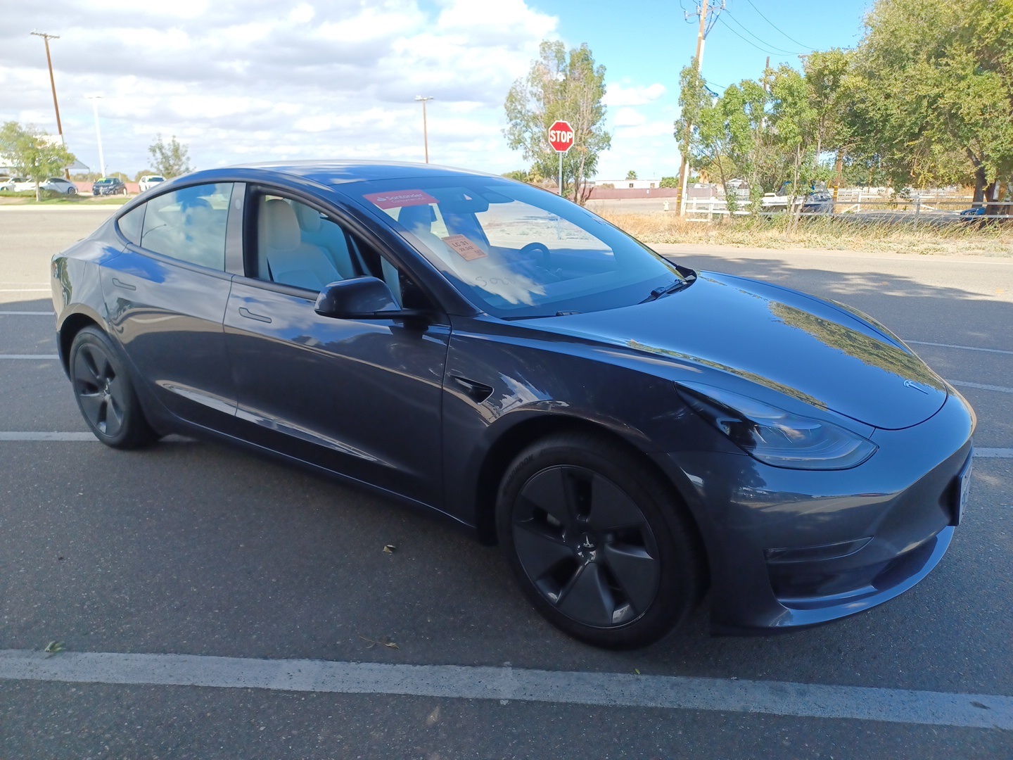 2023 Tesla Model 3 photo 3