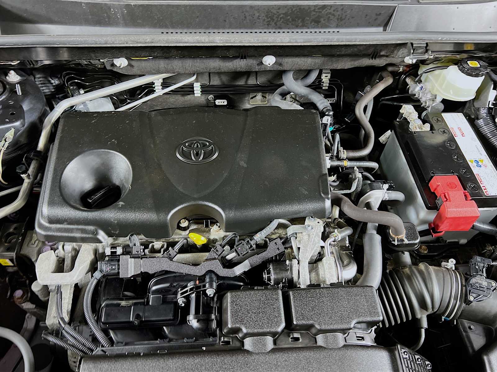 2019 Toyota RAV4 XLE photo 26