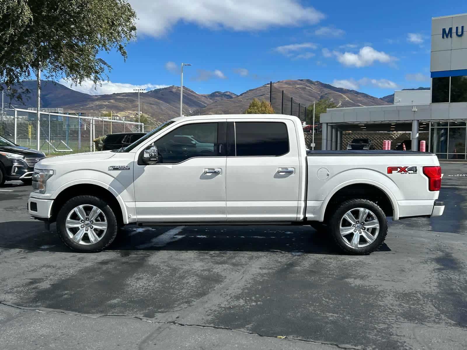 2019 Ford F-150 Platinum photo 4