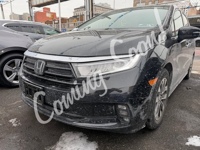 2023 Honda Odyssey EX-L's photo