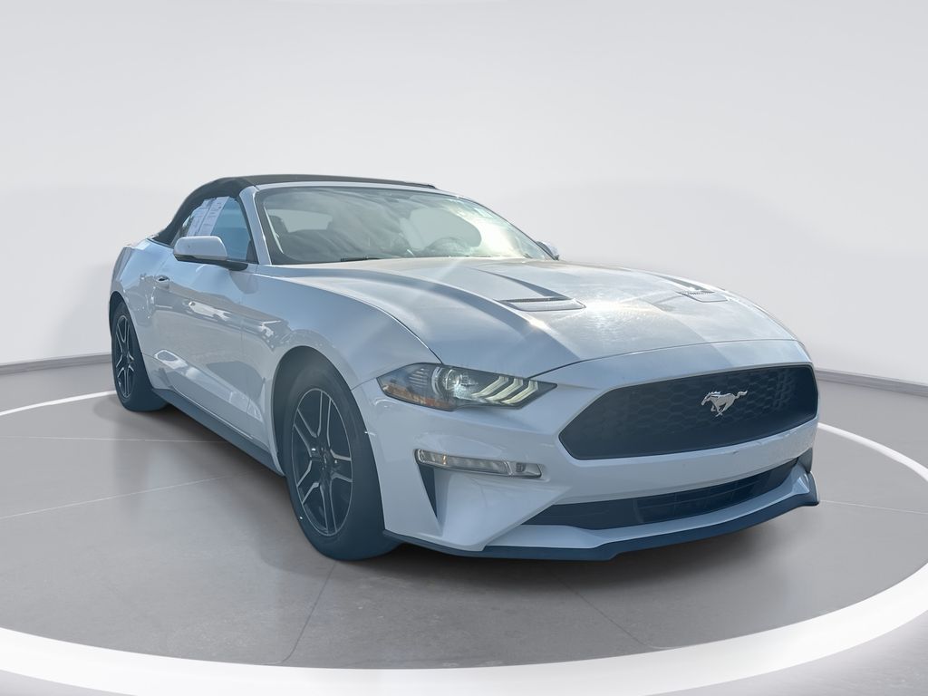 2019 Ford Mustang