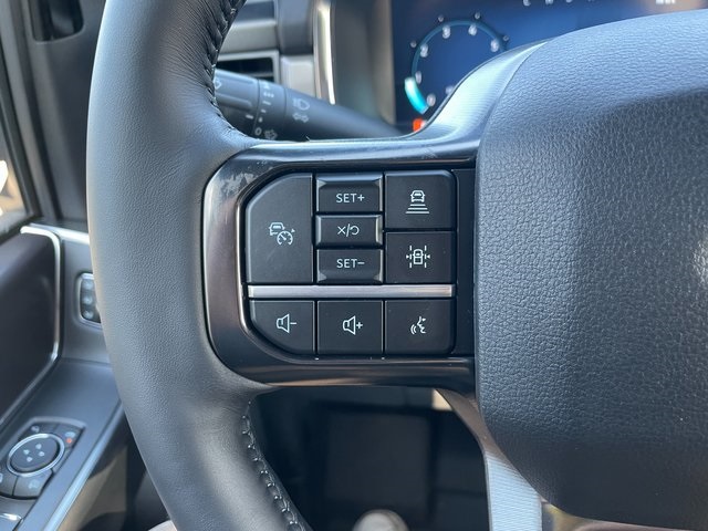 2025 Ford F-150 Platinum photo 25