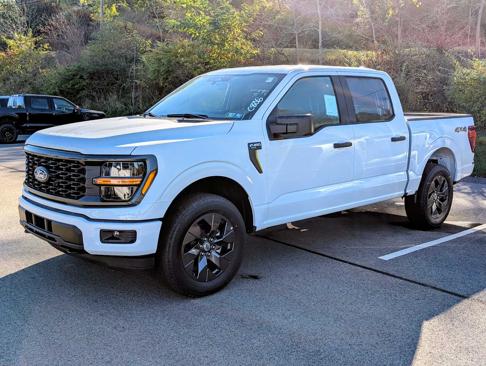2025 Ford F-150 STX's photo