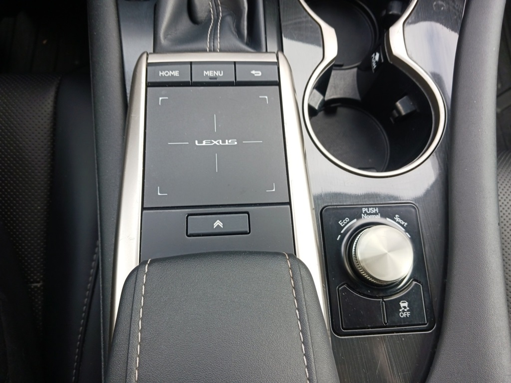 2020 Lexus RX 350 photo 21