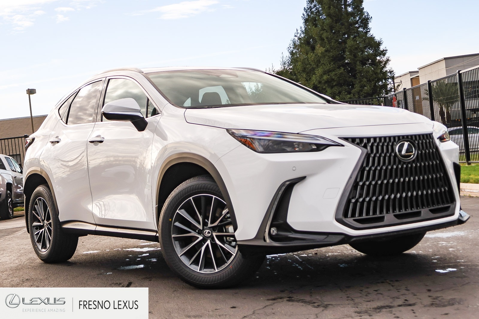 2026 Lexus NX 350's photo