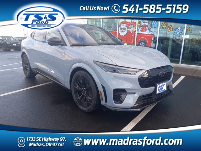 2025 Ford Mustang Mach-E GT AWD's photo