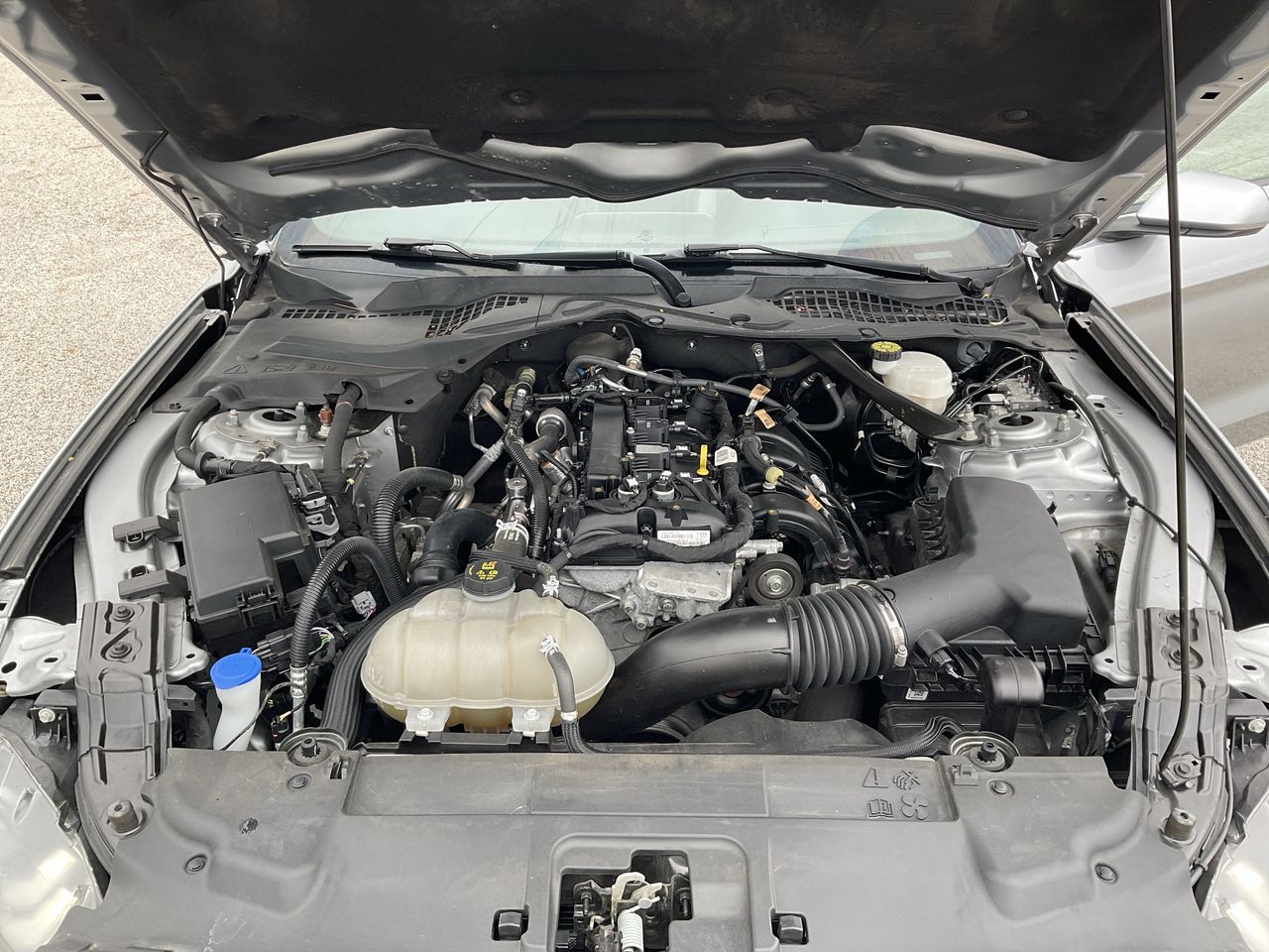 View 25