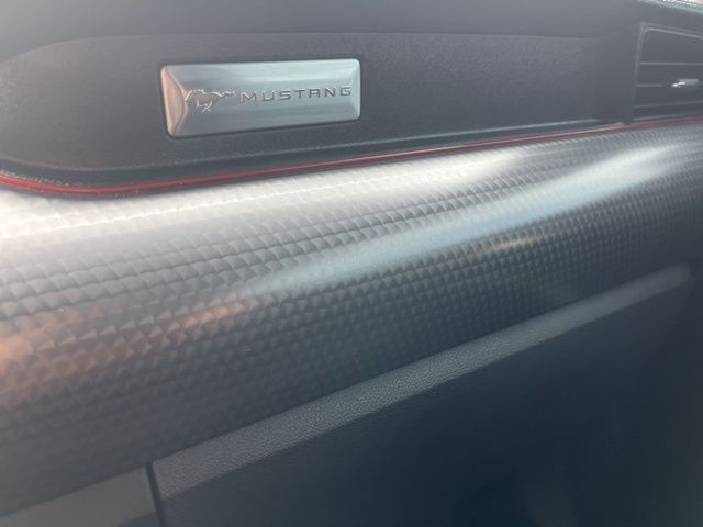 2022 Ford Mustang GT photo 18