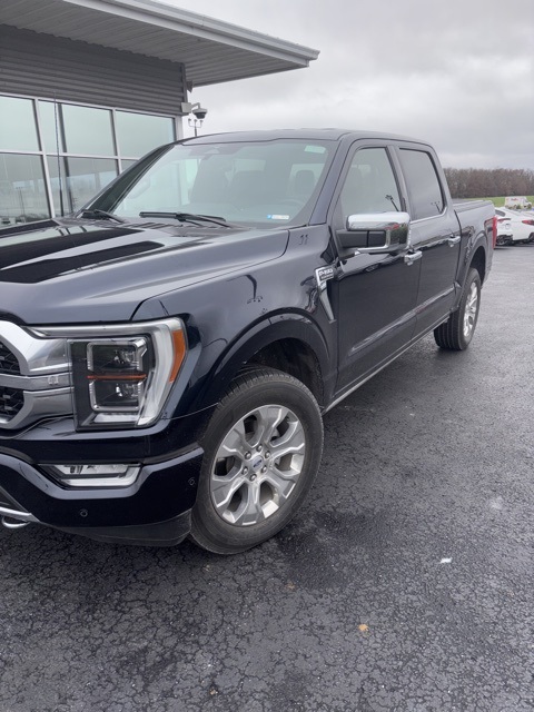 2023 Ford F-150 Platinum's photo