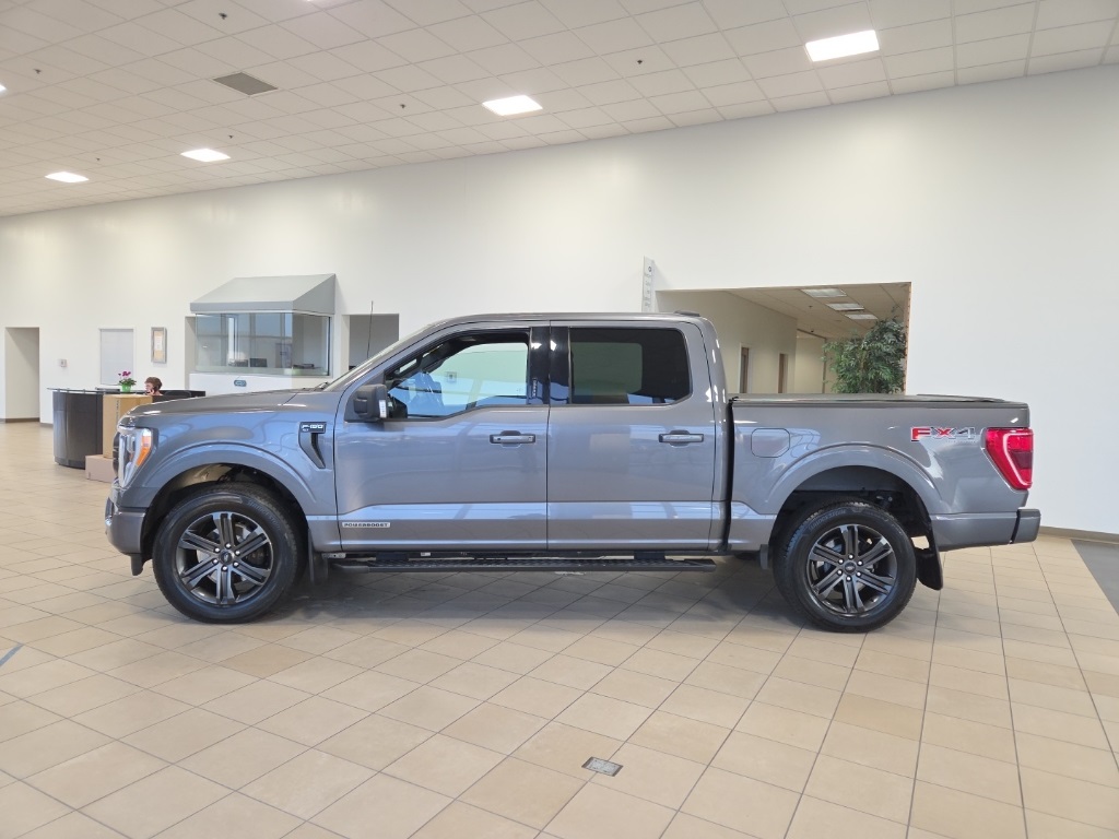 2021 Ford F-150 XLT's photo
