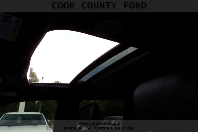 2022 Ford F-150 Platinum photo 5