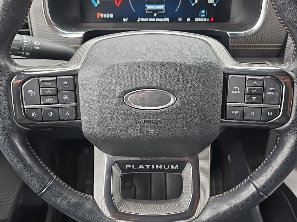 2022 Ford F-150 Platinum photo 10