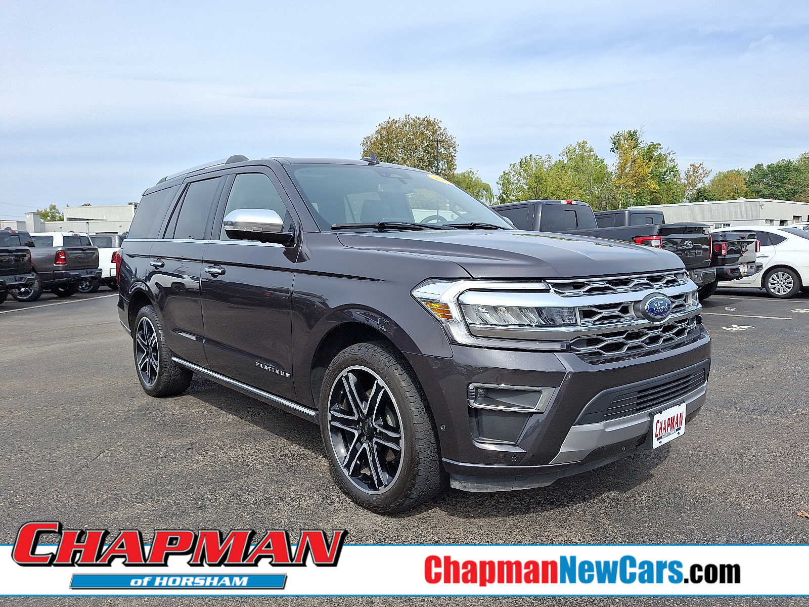 2024 Ford Expedition Platinum's photo