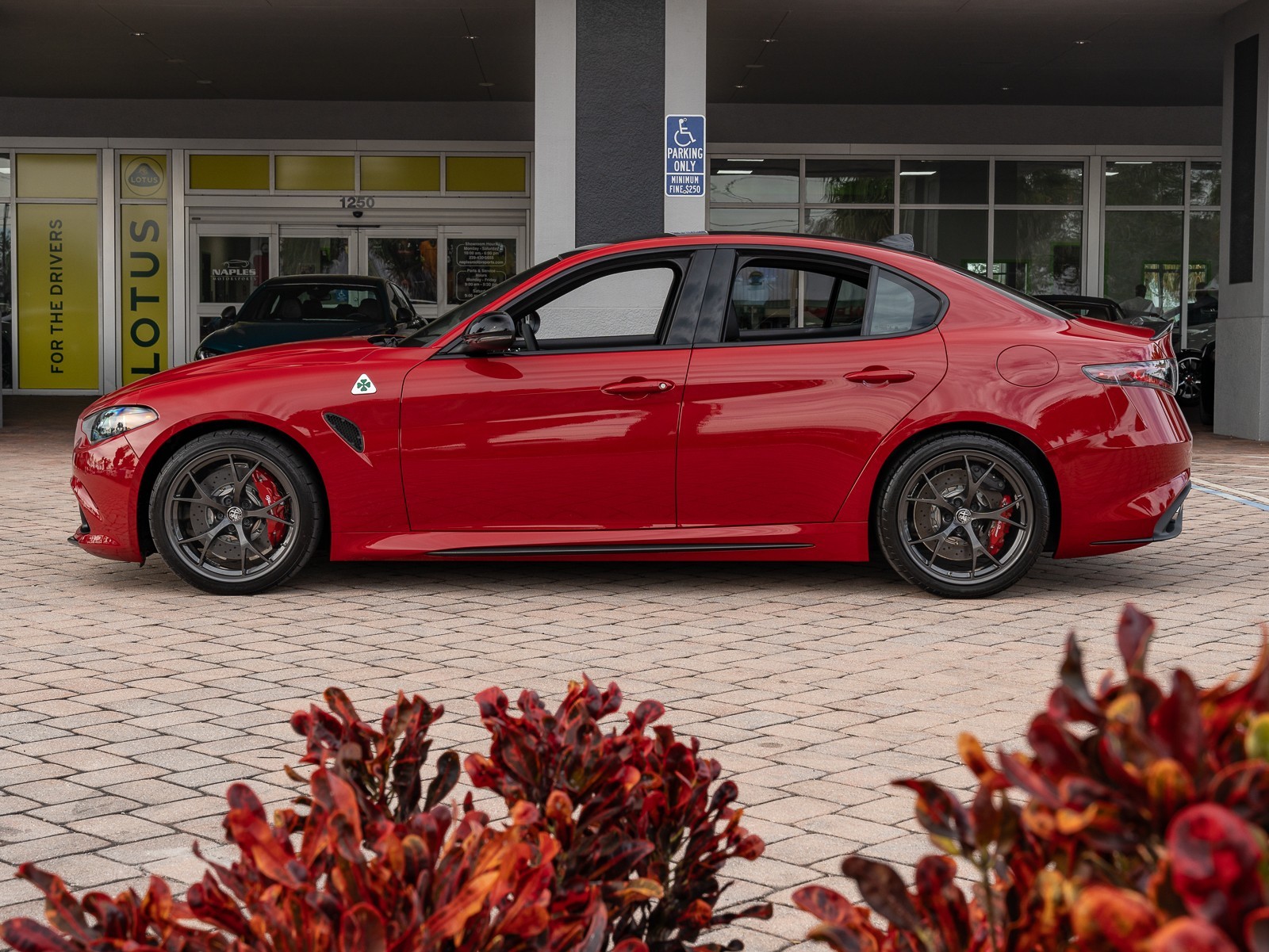 2024 Alfa Romeo Giulia Quadrifoglio photo 6