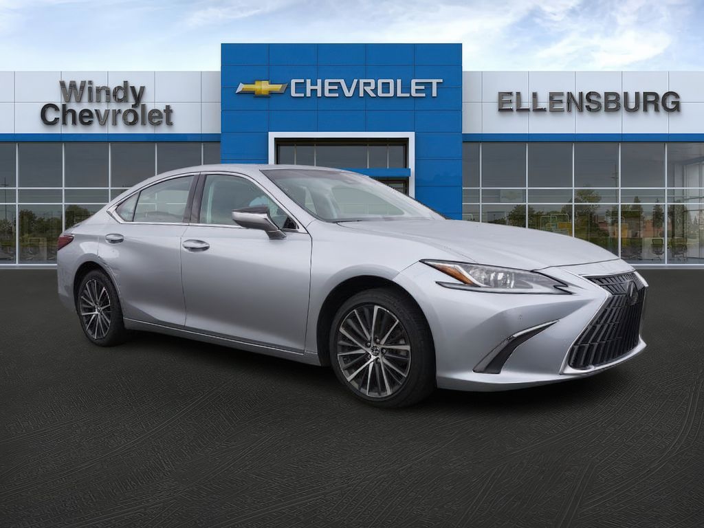 2022 Lexus ES 250's photo