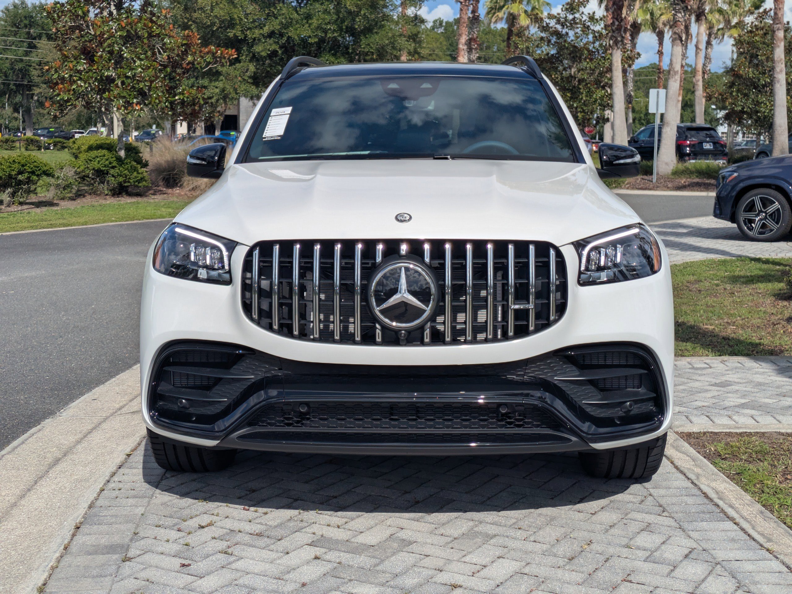 2025 Mercedes Benz GLS AMG 63 4MATIC photo 10