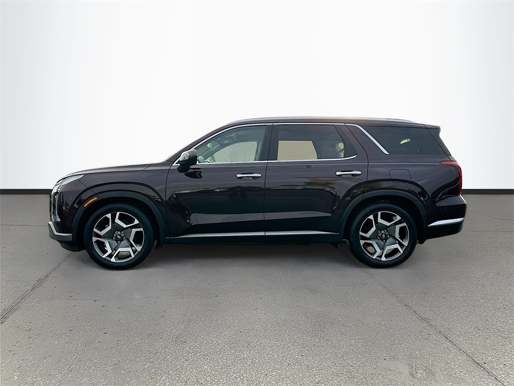 2023 Hyundai Palisade Limited photo 3