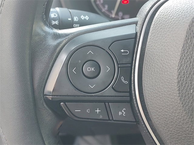 2019 Toyota RAV4 Limited photo 19
