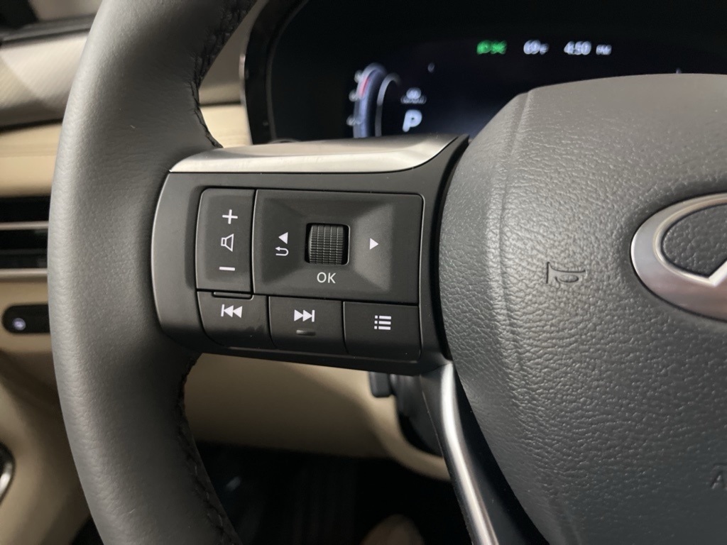 2025 Infiniti QX60 Luxe photo 16
