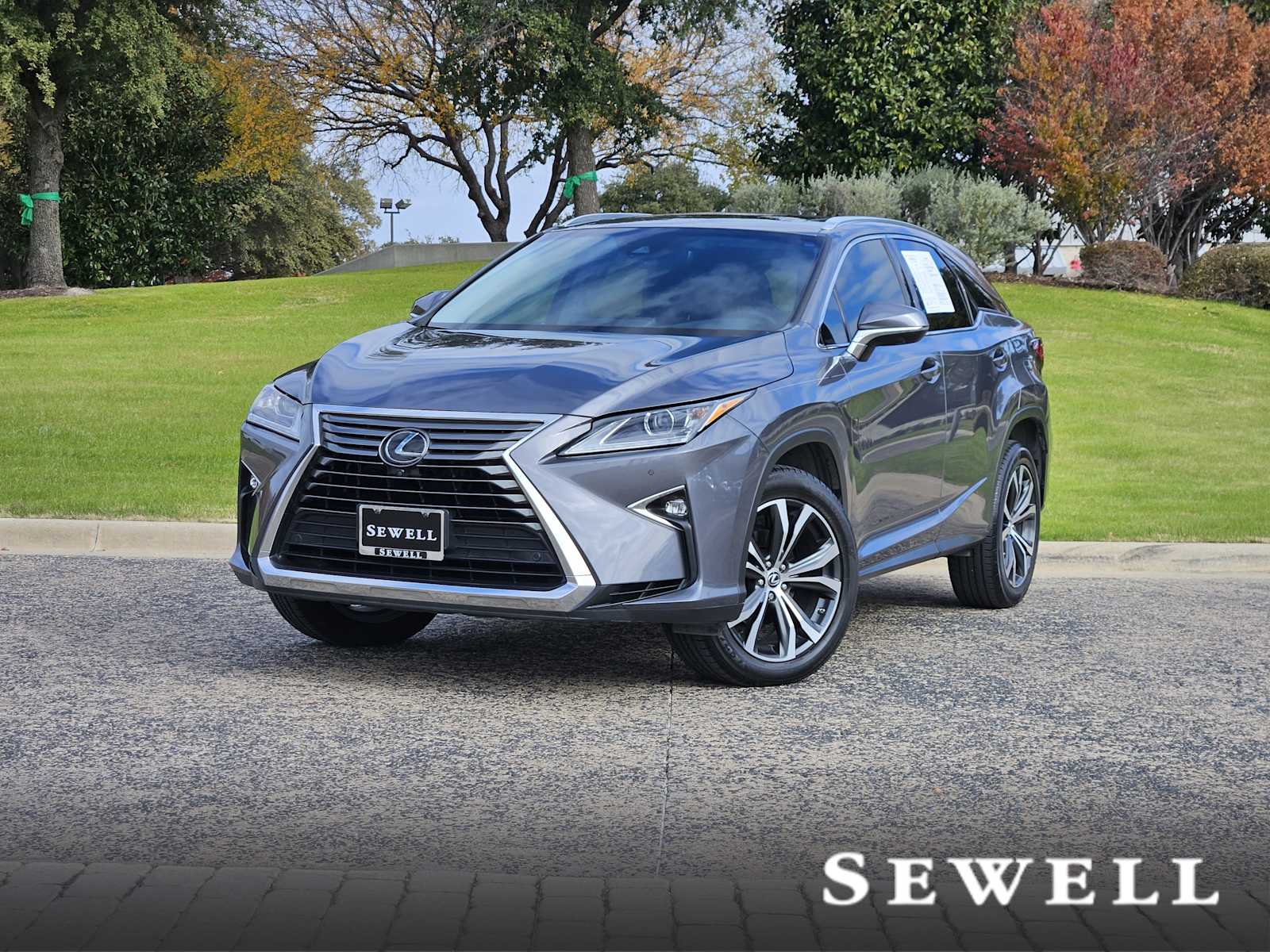2019 Lexus RX 350's photo