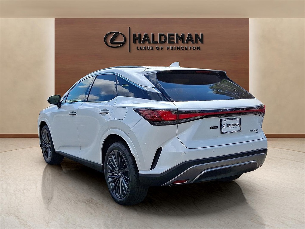 2025 Lexus RX 350 Premium photo 3