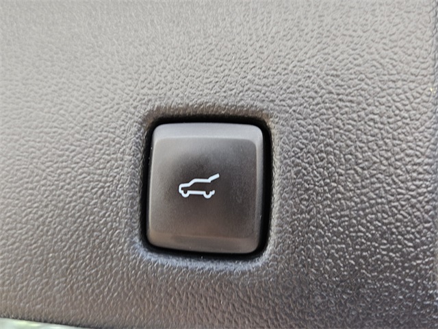 2023 Ford Escape ST-Line photo 8