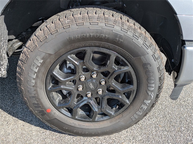 2025 Ford F-150 XLT photo 11