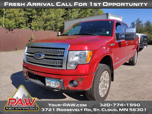 2011 Ford F-150 Platinum photo 4