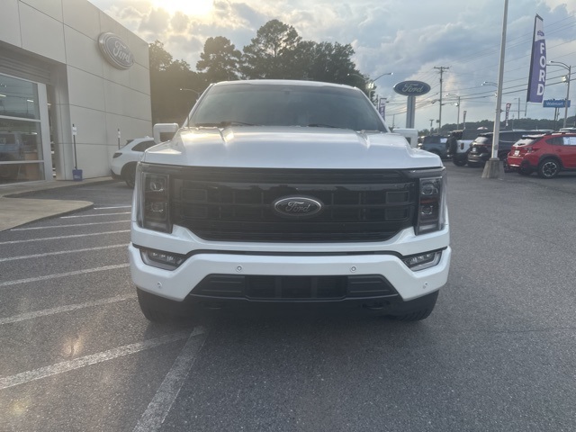 2023 Ford F-150 Platinum photo 4