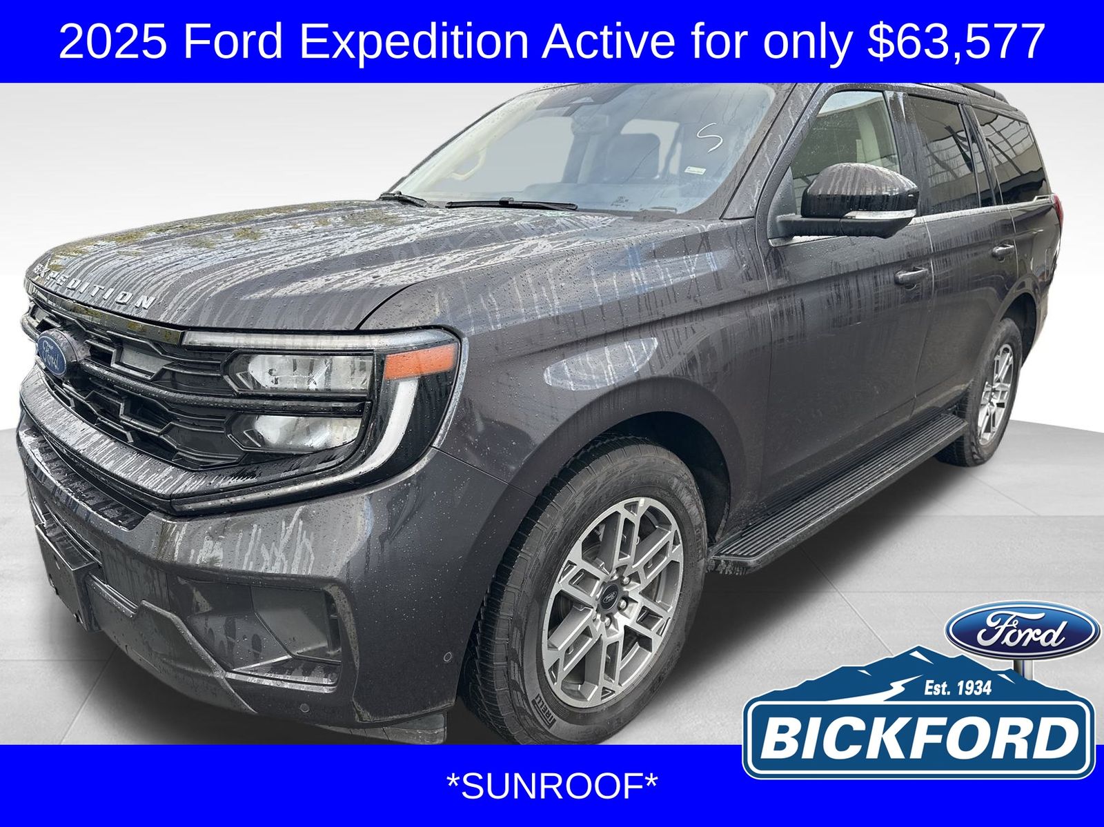 2025 Ford Expedition Active's photo