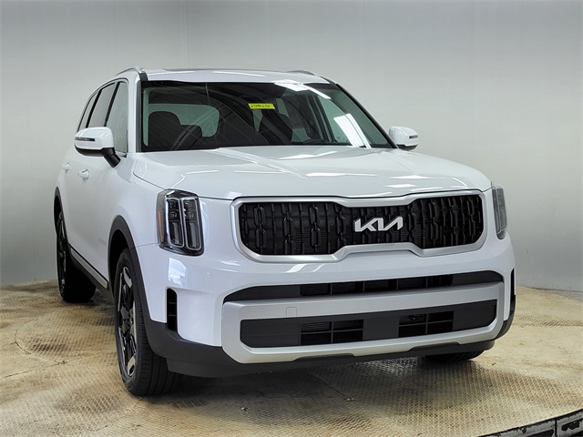 2025 Kia Telluride EX photo 2