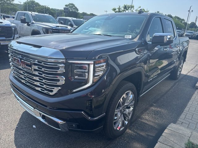 2025 Gmc Sierra Denali photo 3
