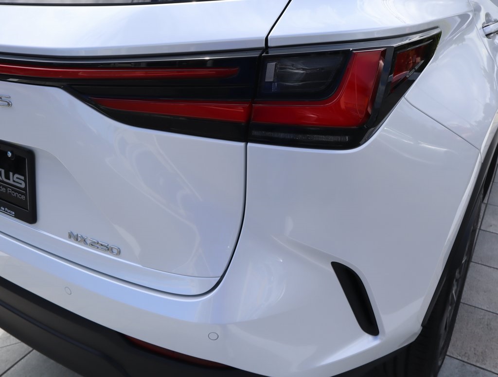 2025 Lexus NX 250 photo 15