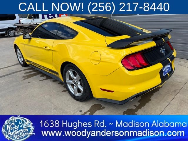 2015 Ford Mustang V6 photo 3