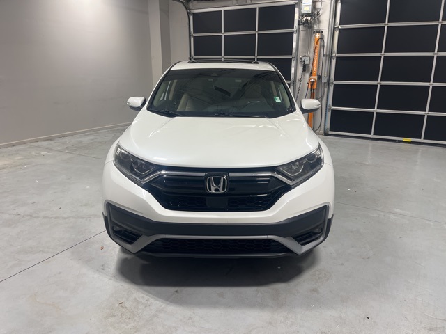 2020 Honda CR-V EX-L photo 4