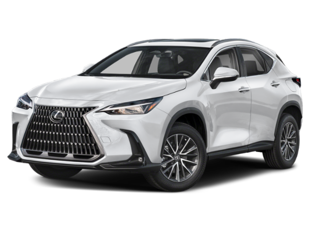 2024 Lexus NX 250's photo