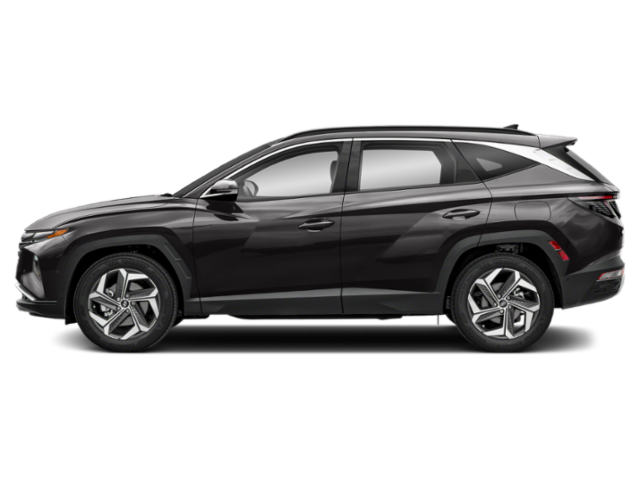 2024 Hyundai Tucson Limited photo 2